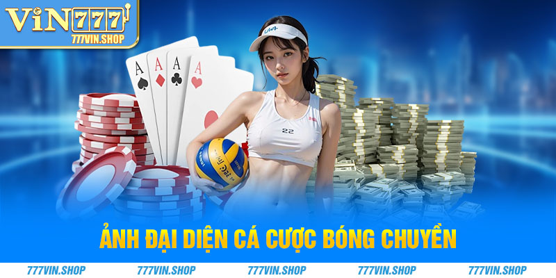 Ảnh đại diện cá cược bóng chuyền