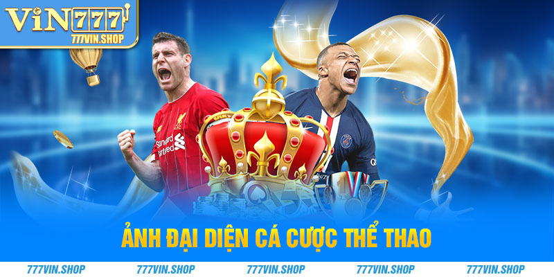 ảnh đại diện cá cược thể thao