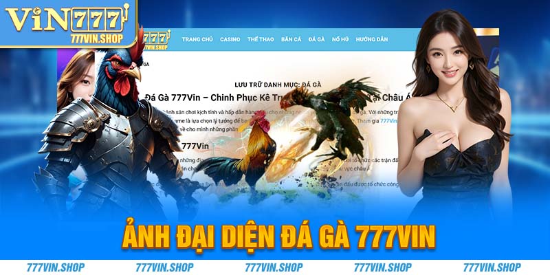 ảnh đại diện đá gà 777vin