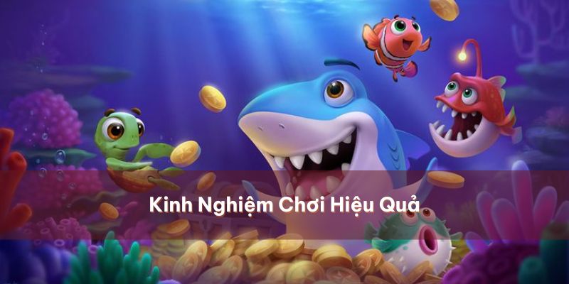 Các chiến thuật chơi thú vị chinh phục bắn cá thần tài