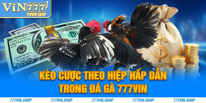 Kèo cược theo hiệp hấp dẫn trong đá gà 777Vin