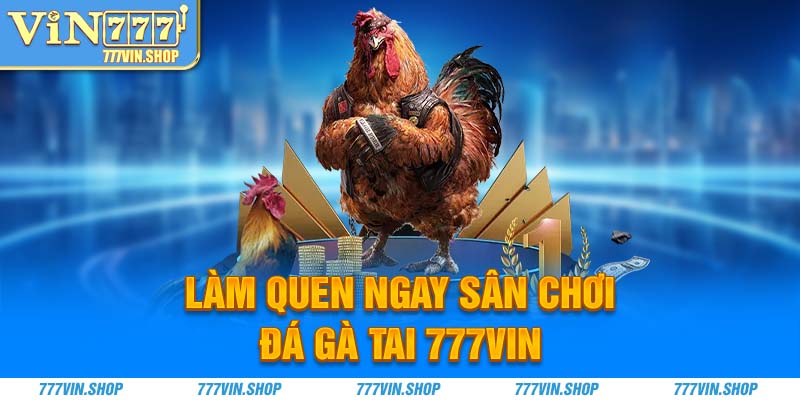 Làm quen ngay sân chơi đá gà tai 777Vin